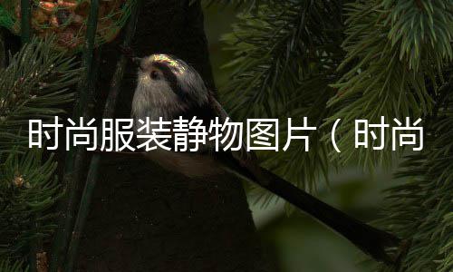 四川白色石子批发、建材批发包括黄沙石子、石子批发生意怎么样、成都石子批发价格