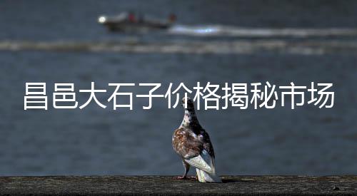 六安水泥批发零售店地址、兴国哪里有水泥零售市场、花都附近沙石水泥批发零售、河南水泥管机械零售