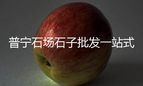 诸暨黄沙袋批发市场、镇江润州水泥黄沙批发、批发水泥黄沙砖、上海黄沙水泥红砖批发