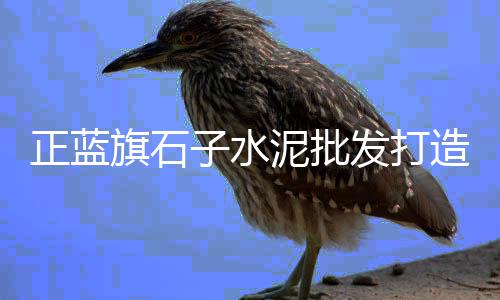 珠海南屏水泥批发零售店、伊滨区零售水泥、开平沙石水泥批发零售、正阳水泥批发零售电话