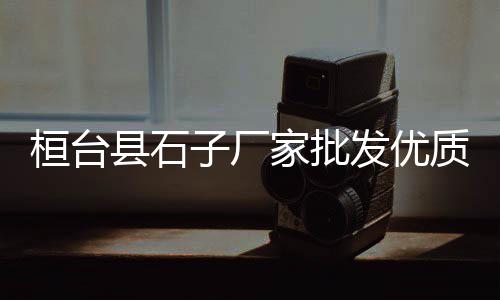 曲阳石子批发、韶关石子批发电话号码、水磨石白石子厂家批发、苏州碎石子批发出售