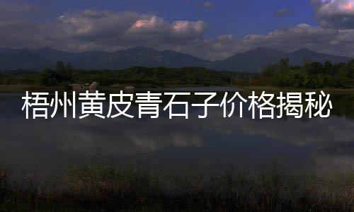 西安零售石子馍店、东丽湖石子零售商、沙子石子水泥零售广告车贴、濮阳石子零售电话地址是多少