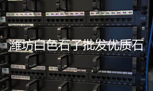 宜宾石子厂家批发市场电话、郑州胶粘石子批发市场、宜城石子批发市场在哪、石子目前市场价