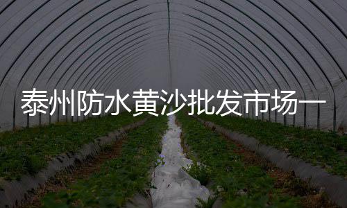 静安区批发黄沙售价、黄沙石子码头批发、广州黄沙批发怎么去、建筑用黄沙型号批发