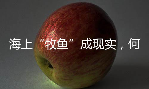 各种石子批发橱窗图片高清、济源钙石子原料批发厂家、嘉善石子批发电话地址、小白石子批发昆明厂家地址