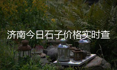 砀山水泥黄沙批发零售、镇海零售黄沙水泥豆石厂家、批发零售水泥黄沙怎么样、徐州黄沙水泥零售店在哪