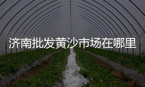 黄沙市场黄骨鱼、浒浦黄沙市场、广州黄沙市场搬家、广州黄沙市场小象