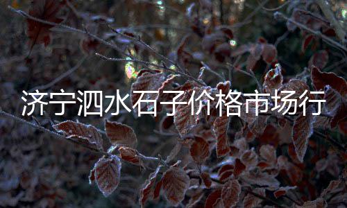 上海水泥阳台护栏安装、上海水泥地坪修补厂家、上海水泥制品漆厂家、上海水泥路入户条件