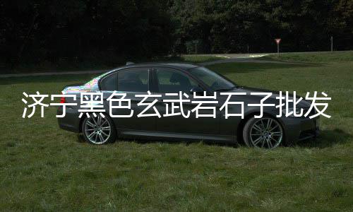 上海膨胀水泥黄沙、上海黄沙多少钱一斤、浠水上海黄沙船运价位、年轻人在上海做黄沙水泥