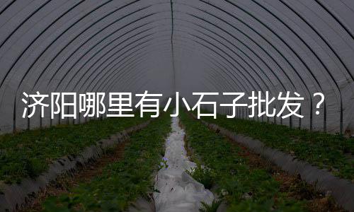 海澄罗坑村水泥零售、通州水泥零售、商丘水泥零售、盈江零售水泥