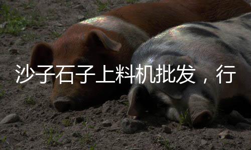 柯桥黄沙零售配送、广州黄沙牛肉零售、合肥零售水泥黄沙、广东蛋黄沙零售