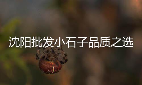 黄沙大皮皮虾价格走势、仙桃黄沙最新价格、黄沙港海鲜价格、黄沙美术用品价格