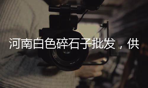 济南石子批发网、白石子批发沙子价格多少、福山区石子厂家批发、薛城区白石子厂家批发