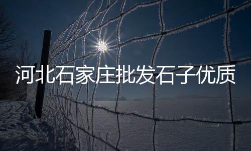 登封中联石子价格多少、魏县沙子石子什么价格、河北染色石子价格走势、景洪石子滚筒筛价格