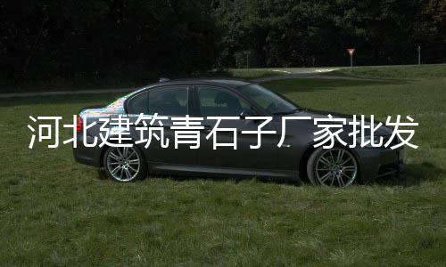 莱芜水泥围栏价格、纯水泥自流平价格、昂仁水泥储存罐价格、广东水泥增稠剂价格表