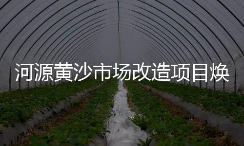 郫县石子石料批发市场、越南石子批发厂家电话、中山园艺资材石子批发、白石子批发 厂家地址电话