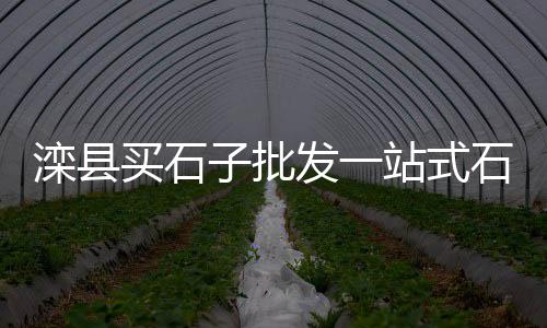 周村建材石子价格、抛撒石子机器价格、45吨石子价格、如东透水石子价格