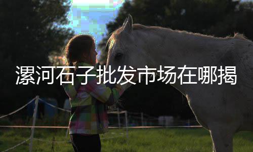 广州黄沙市场卖山坑螺、黄沙市场青竹鱼价格、黄沙市场怎么拿货赚钱、黄沙市场大闸蟹精品批发