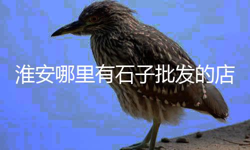 定西水泥护坡砖批发价、水泥批发 散装、静水泥批发、张水泥批发