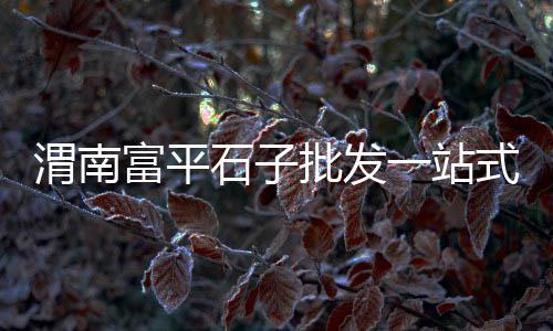 乐山华强水泥批发、玉田水泥批发、水泥印花批发、水泥批发曲沃