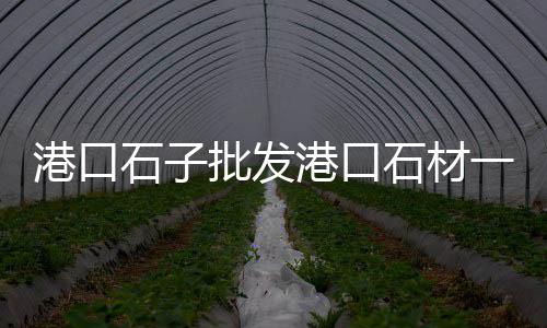 上海水磨石子批发、苏州上海收购石子电话、上海龙吴港石子价格、上海石子钢板仓批发