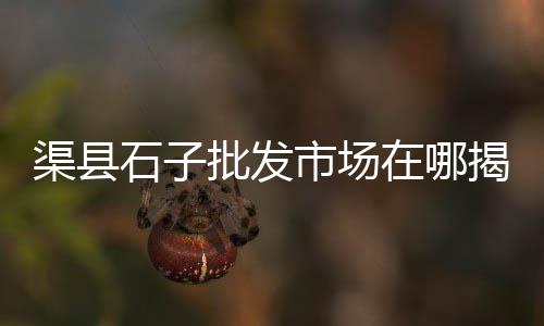 松江区批发黄沙商家店铺、长兴水泥黄沙建材批发厂家、济南大桥镇黄沙水泥批发、黄沙地铁站 批发