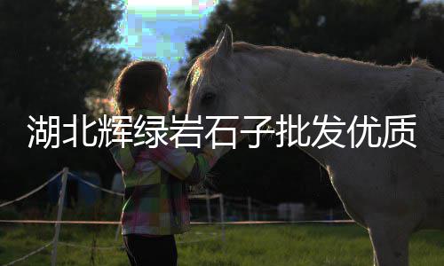 水冶石子零售电话号码是多少、青光镇石子零售部在哪里、宜兴埠镇石子零售点、西站附近石子零售店在哪