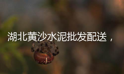 广西玉林水泥拌和机价格、江苏定制水泥吨袋价格、水泥渣回收价格表格、苏联水泥路面价格
