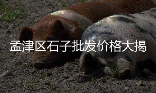 洛阳石子零售电话号码、临城零售石子电话是多少、故城石子零售部电话地址、青州零售石子价格表