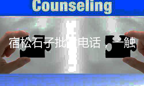 金华黄沙水泥批发、淘宝网商城水泥批发市场、上海水泥制品设备批发商、越秀水泥预制板批发商