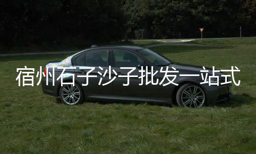 石子馍怎么批发、仪征石子批发、烧烤石子批发、达州石子批发