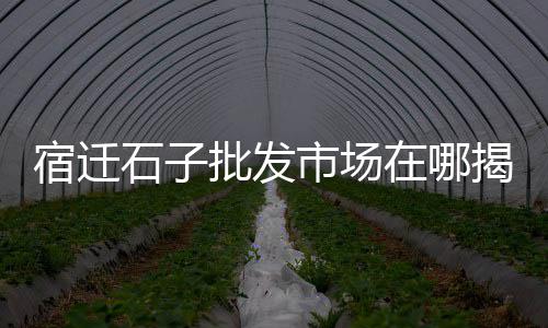上海崇明石子厂地址、上海外墙石子贴墙面、上海家装石子黄沙红砖、上海彩色沥青石子直销
