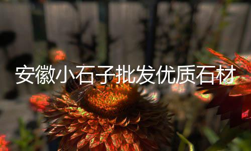 再生石子上海浦东、上海小石子价格最新行情、找船拉石子到上海、上海拉石子船的地方