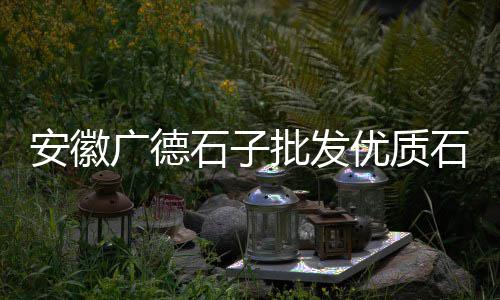 上海再生石子供应、上海建筑用石子到岸价格、上海哪里有石子浴池卖呀、上海0-1钩石子神器