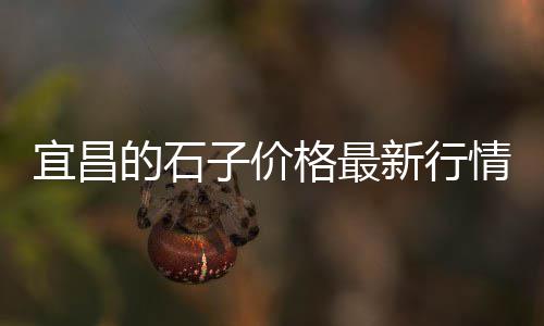 东丽周边石子批发零售、附近石子零售店、柯桥石子零售配送、唐山便宜的石子零售