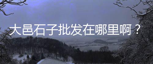 南宁散装白水泥批发市场、齐河水泥板批发市场电话、平潭水泥腻子粉批发市场、惠州水泥砖批发市场地址