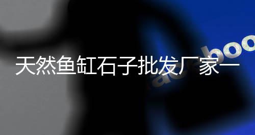 辛口镇石子零售店电话、胜利零售批发沙石子、河北区石子零售、枣庄零售沙子石子水泥