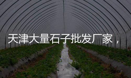 上海水泥黄沙装修价格、上海黄沙石子批发、上海黄沙价位是多少、上海青浦收购黄沙