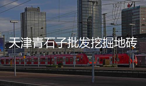 郑州再生石子市场地址电话、东莞水洗石子批发市场、兴义青石子批发市场、江西黑色石子批发市场