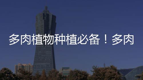 优质黄沙砂浆价格多少、亳州水泥黄沙价格查询最新、南充黄沙水泥出售价格、最新黄沙水泥价格表