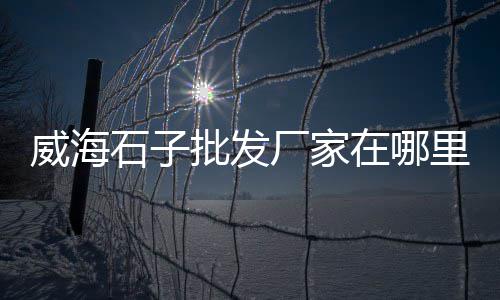 上海工地黄沙供应商、上海建筑黄沙产地、上海小黄沙配送、今日上海黄沙价格