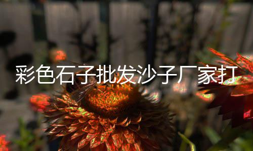 池州哪里有小石子批发、定兴石子机制砂批发、新乡野菜石子批发、翼城批发石子饼店