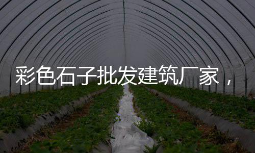 黄沙市场卖鞋的地方在哪里、黄沙市场打架视频真实、黄沙市场冷链车、广州黄沙市场怎么去