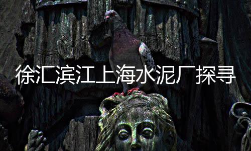 上海水泥回转窑批发、曹县水泥花砖批发、水泥批发品牌排行、红光水泥河沙批发