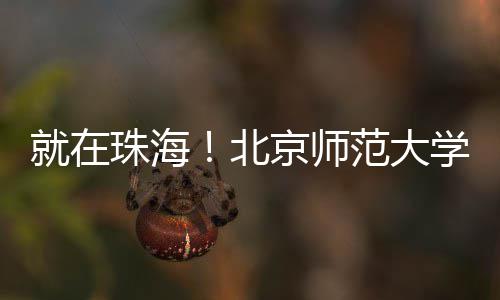 莱州白石子批发、石子出售批发、青石石子批发、蓬莱石子批发