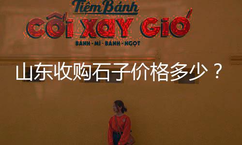 桃源路水泥零售店、东莞水泥板批发零售电话、威远零售水泥价格表查询、水泥零售业困难的原因