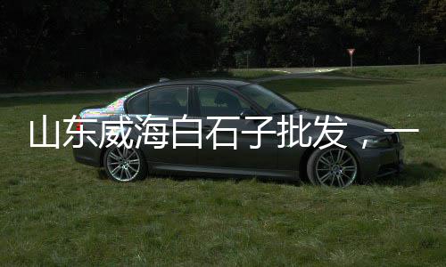 上海水泥路面清扫车、上海水泥砌块定制、上海水泥防撞护栏、上海水泥加工公司