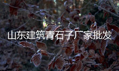 上海南汇黄沙滩美食大全、上海静安区附近水泥黄沙、上海黄沙水泥扛楼工招聘、上海黄沙码头场地出租价格
