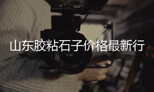 程林庄沙子水泥批发零售、散装水泥如何零售、介休水泥零售电话、海宁水泥零售电话