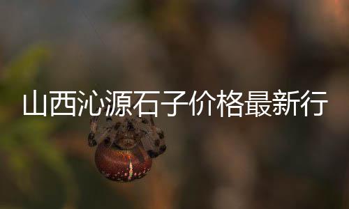 上海中粗黄沙怎么卖、上海买黄沙子、上海建材黄沙出售、上海新桥黄沙